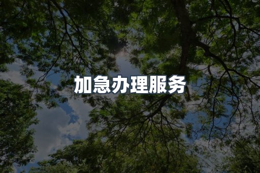 加急办理服务